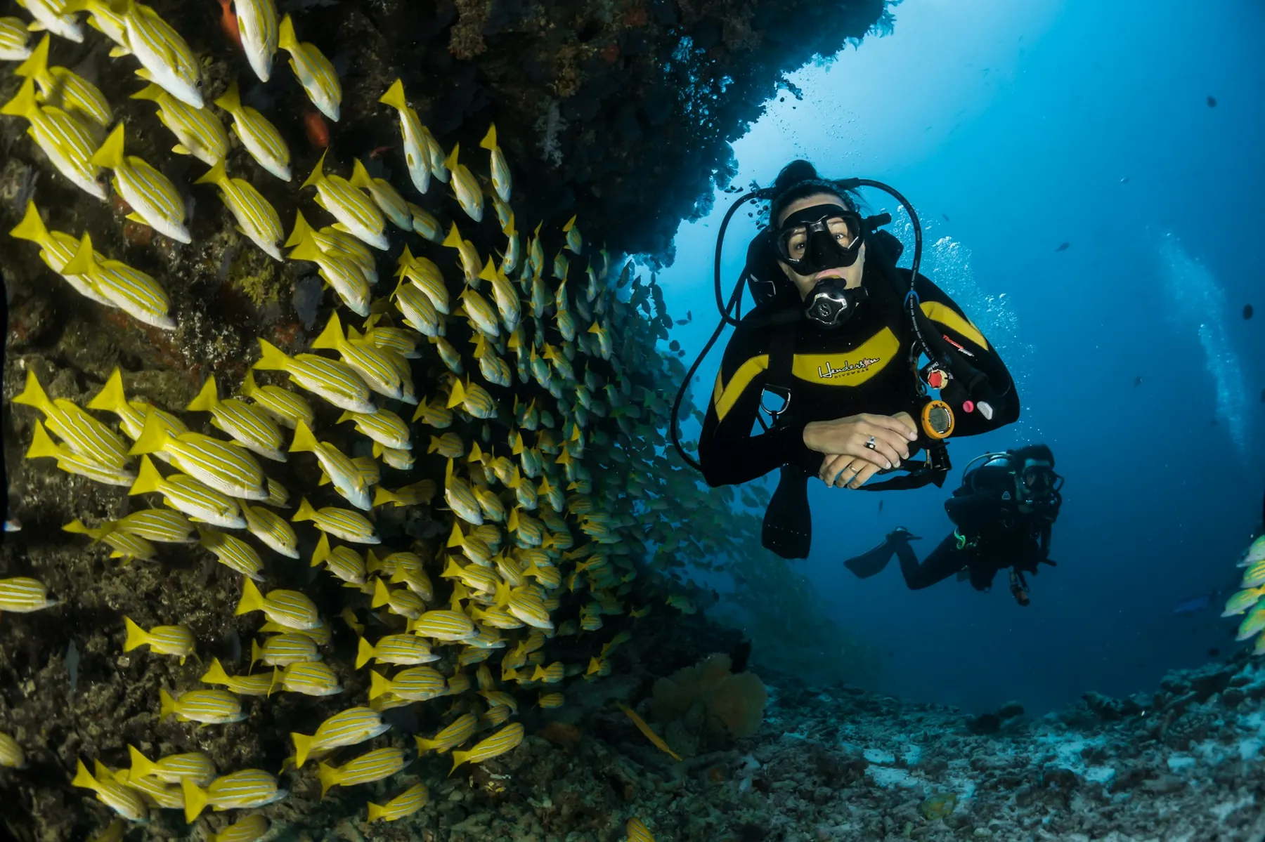 Buzo entre un banco de peces en aguas caribeñas